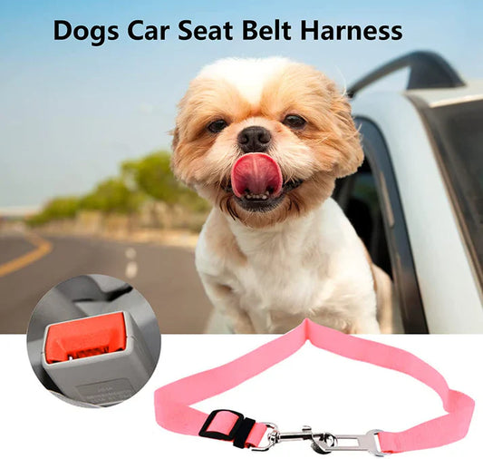 Dog Car Seat Belt - Safety on the Go