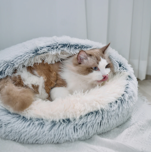 Cozy Winter Pet Bed